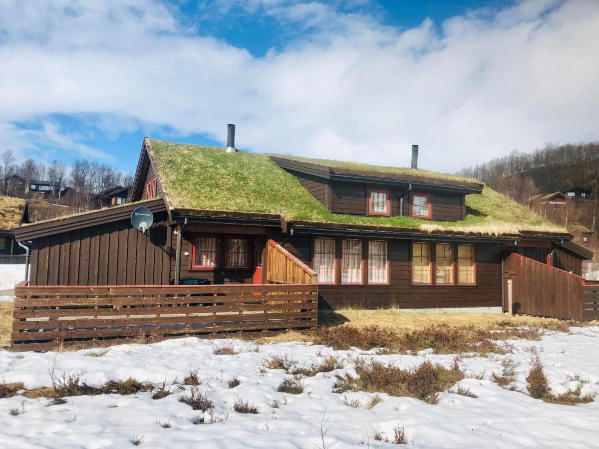 Four-Bedroom Cottage In Sirdal Tjorhom Dış mekan fotoğraf